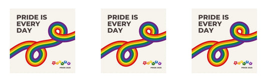 Pride is Everyday Pride Magnet